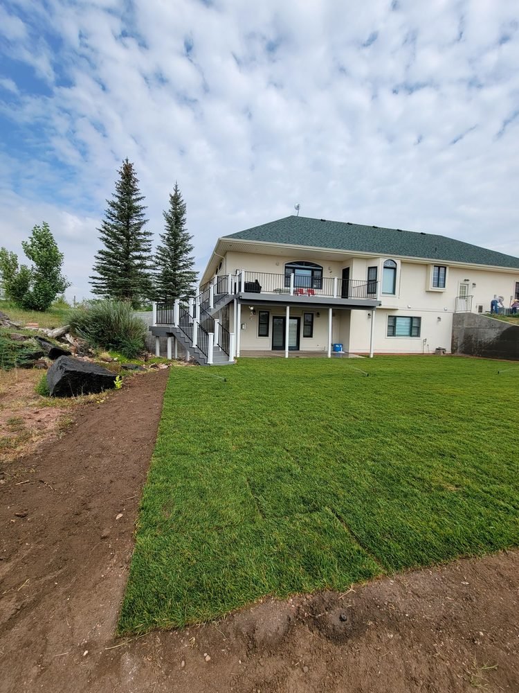 New sod lawn with spruce trees and boulder accent, Cheyenne Wyoming